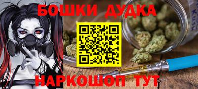 крисы Обь