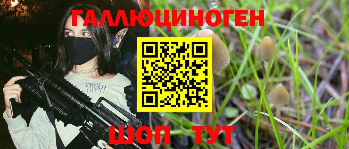 где купить   Галлюциногенные грибы Psilocybine cubensis  Вход с VPN  Сунжа 
