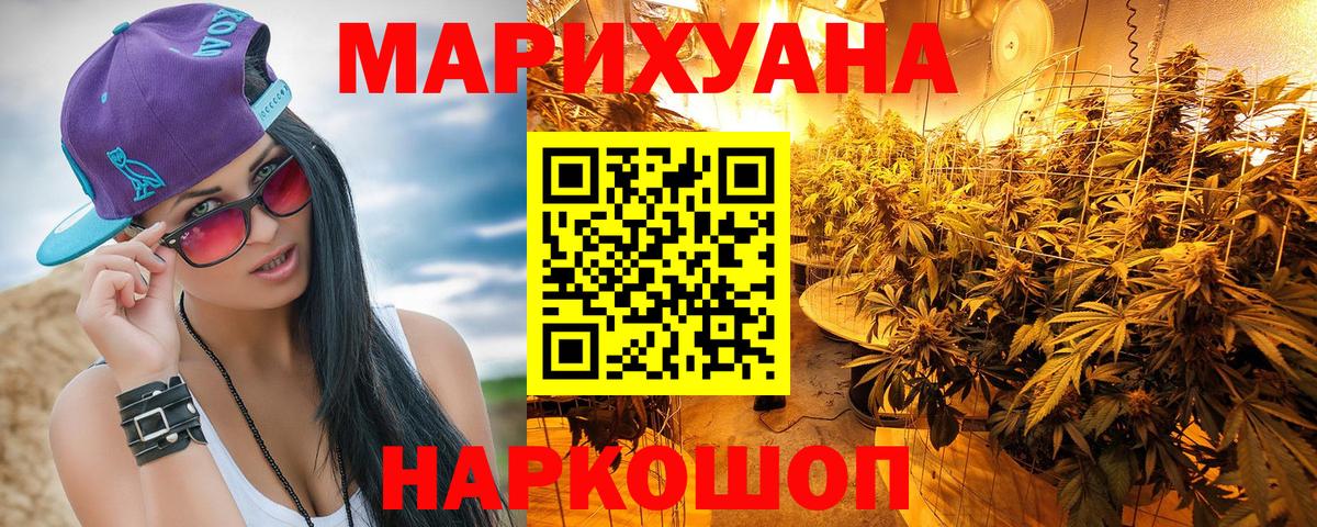 Сунжа  Канабис планчик  Вход с VPN  Бошки Шишки планчик 