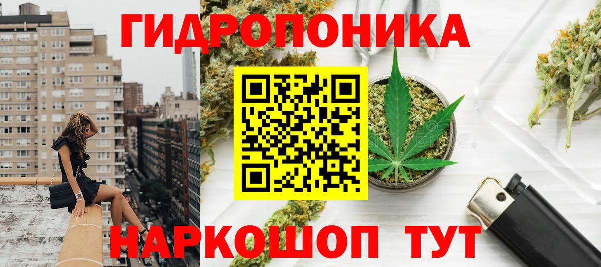 Марихуана семена Сунжа